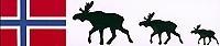 Norwegen-Elche