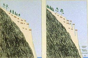 Kvitskriuprestin Naturminne